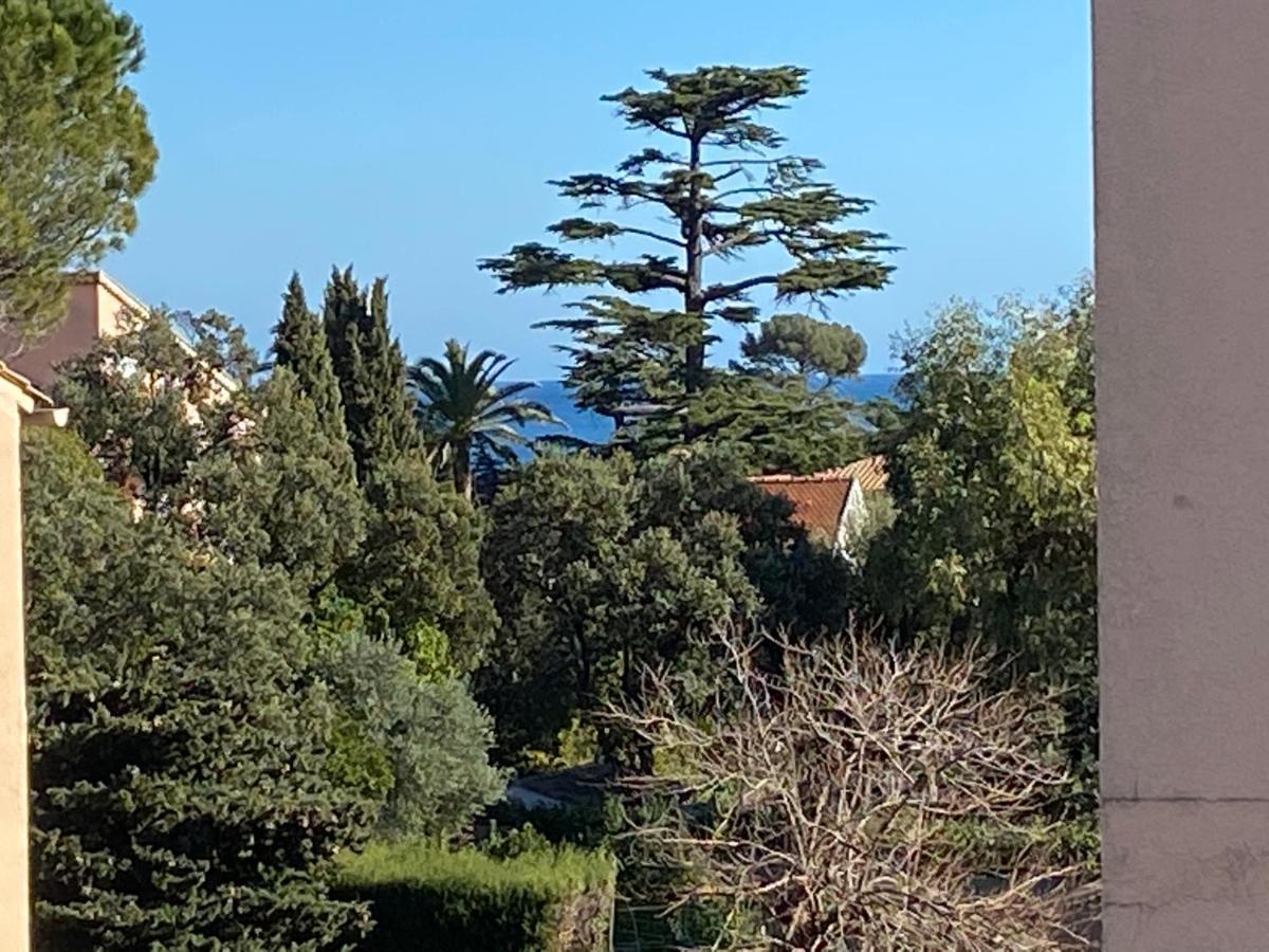 Saint Aygulf - A 250M De La Mer- 3 Pieces 45M2 מראה חיצוני תמונה